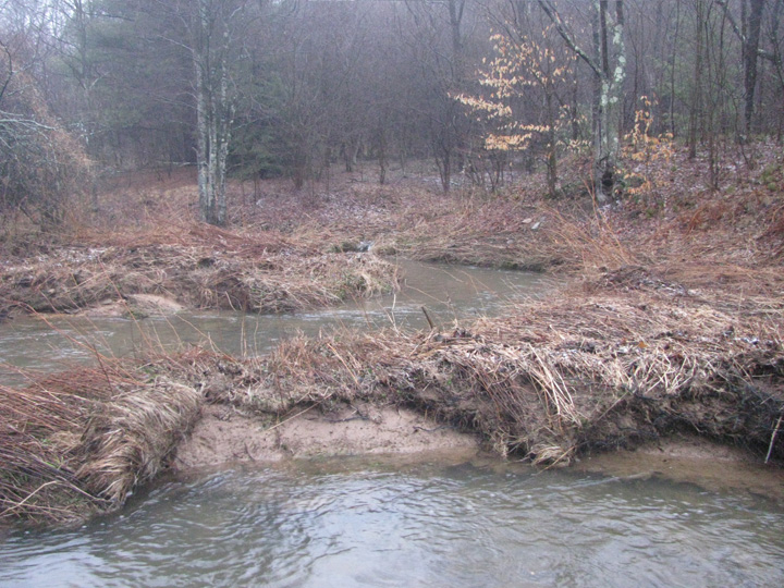Field photo showing stream conditions at site CASS-102-X-2011-2