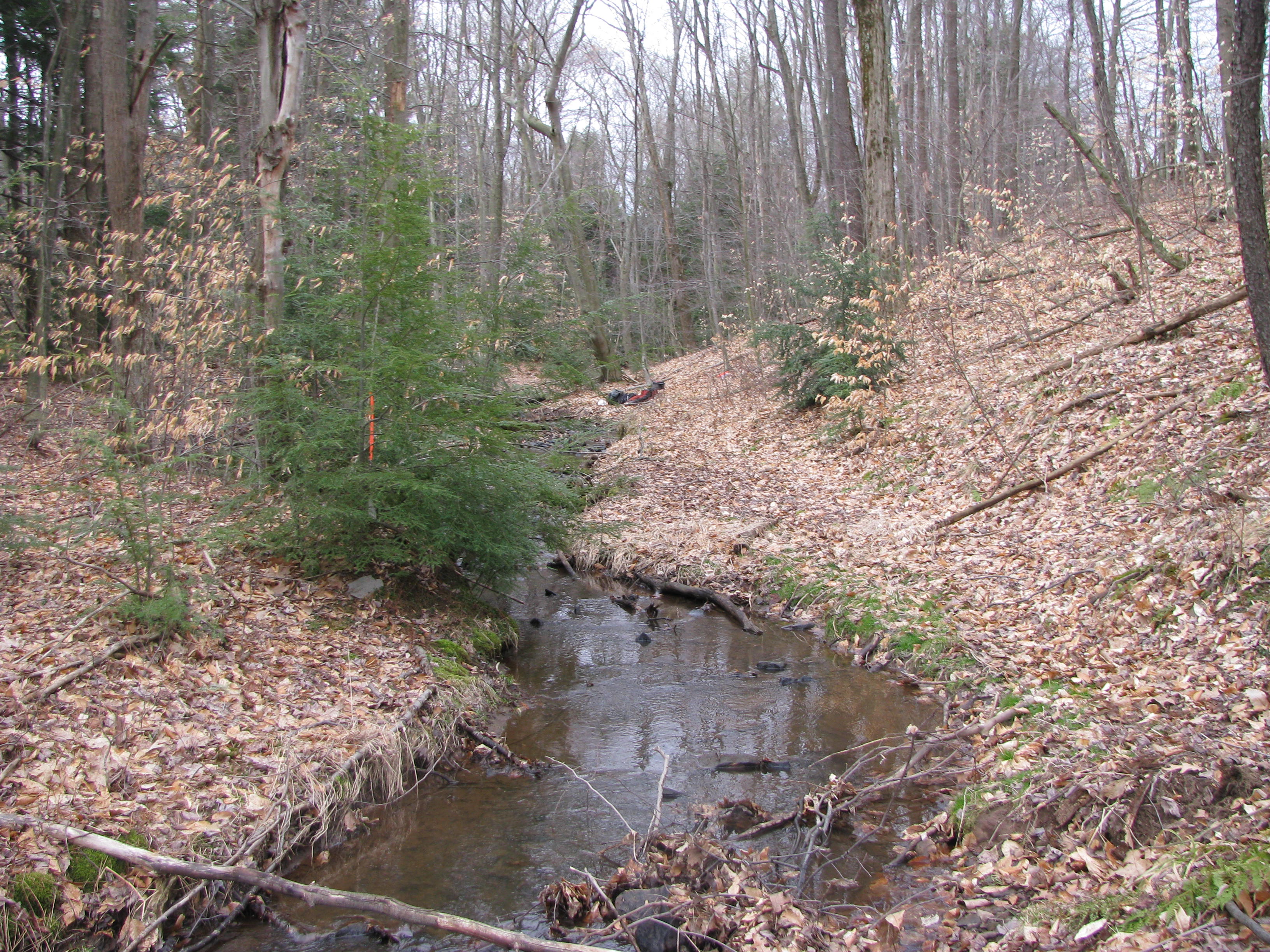 Field photo showing stream conditions at site CASS-103-D-2012-1
