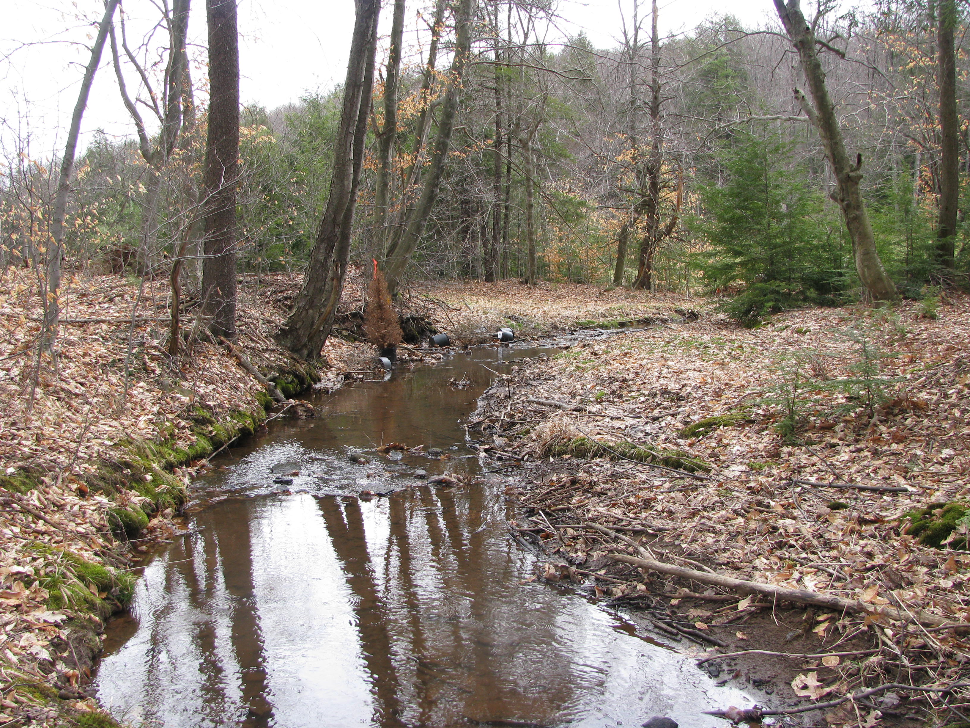 Field photo showing stream conditions at site CASS-103-D-2012-2