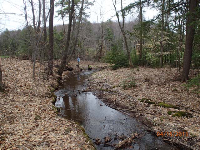 Field photo showing stream conditions at site CASS-103-D-2013-MidpointDownstream