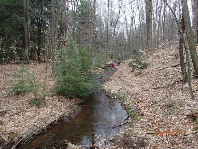 Field photo showing stream conditions at site CASS-103-D-2013-MidpointUpstream
