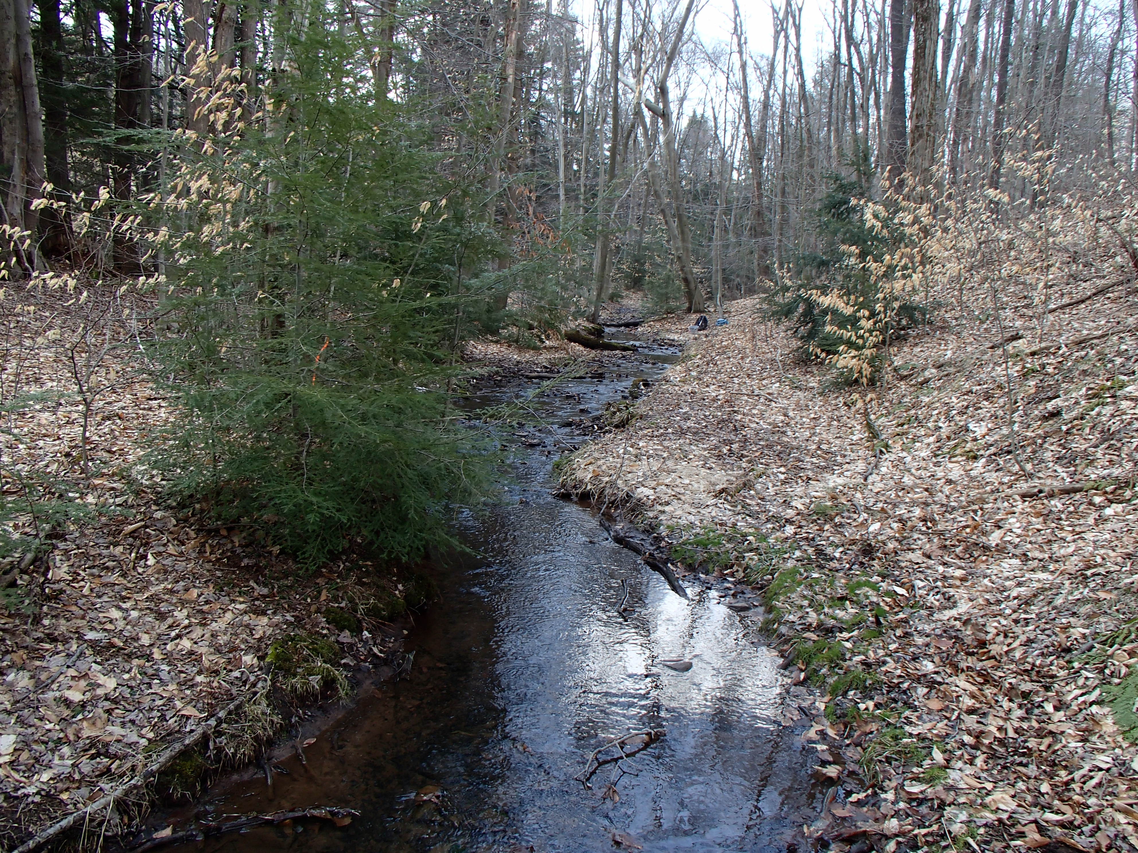 Field photo showing stream conditions at site CASS-103-D-2014-1