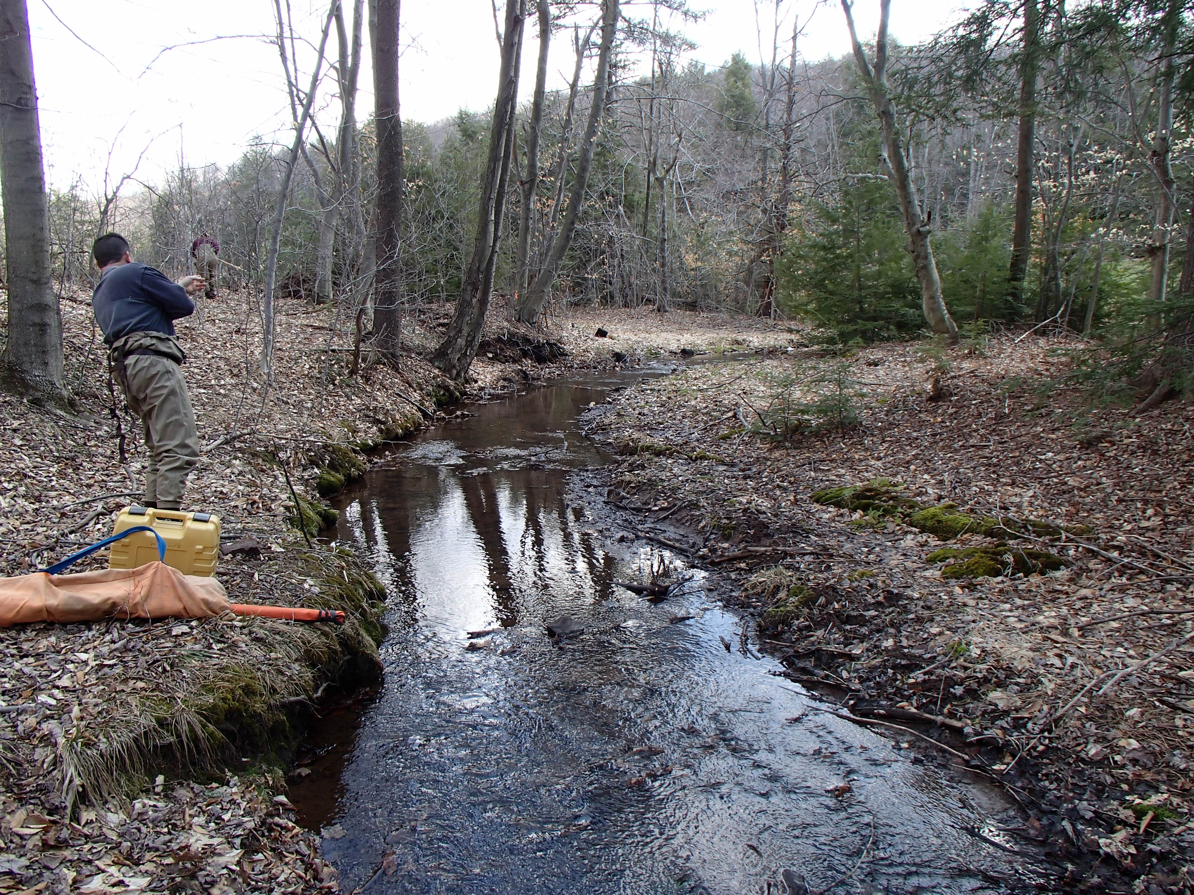Field photo showing stream conditions at site CASS-103-D-2014-2