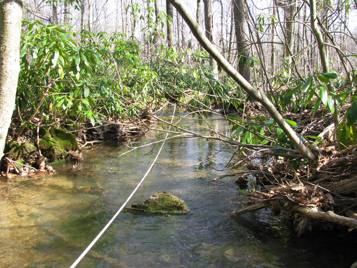Field photo showing stream conditions at site CASS-103-H-2010-1