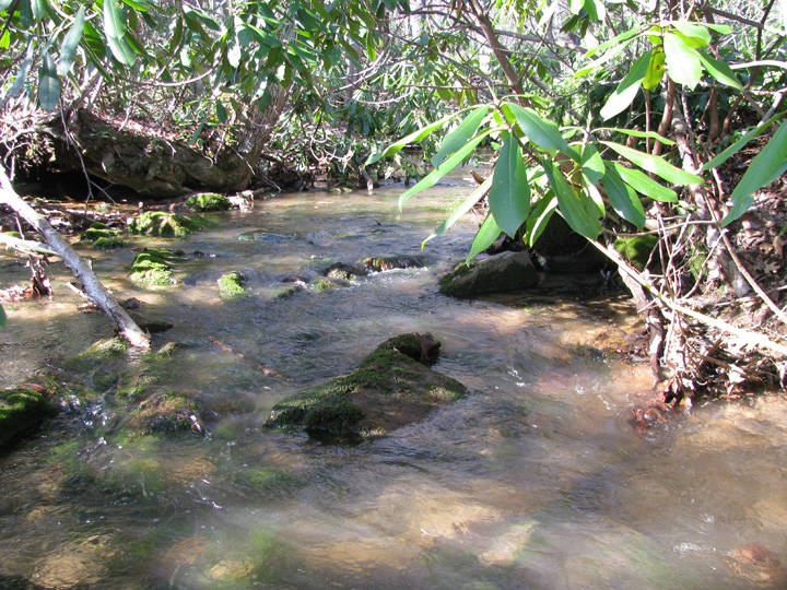 Field photo showing stream conditions at site CASS-103-H-2010-2