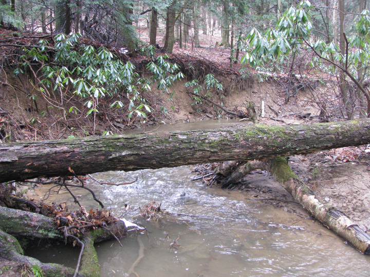 Field photo showing stream conditions at site CASS-103-X-2011-1