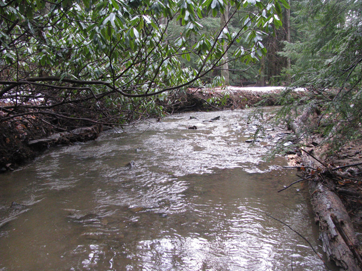 Field photo showing stream conditions at site CASS-103-X-2011-2