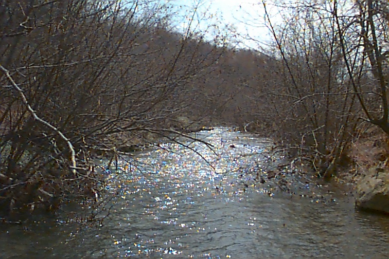 Field photo showing stream conditions at site CASS-104-R-2000-01