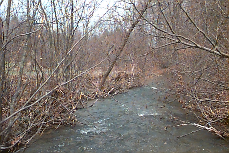 Field photo showing stream conditions at site CASS-104-R-2000-02