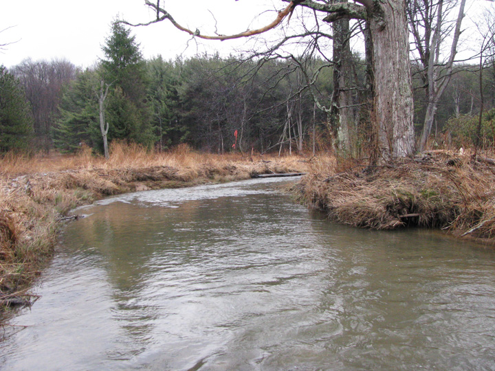 Field photo showing stream conditions at site CASS-104-X-2011-1