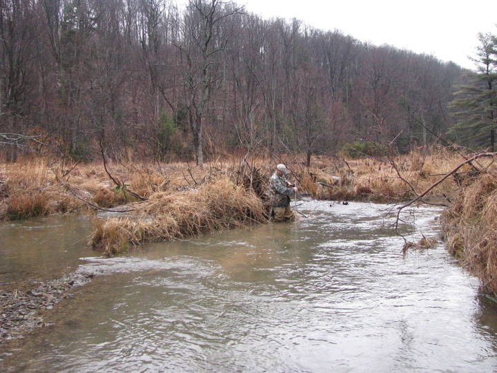 Field photo showing stream conditions at site CASS-104-X-2011-2
