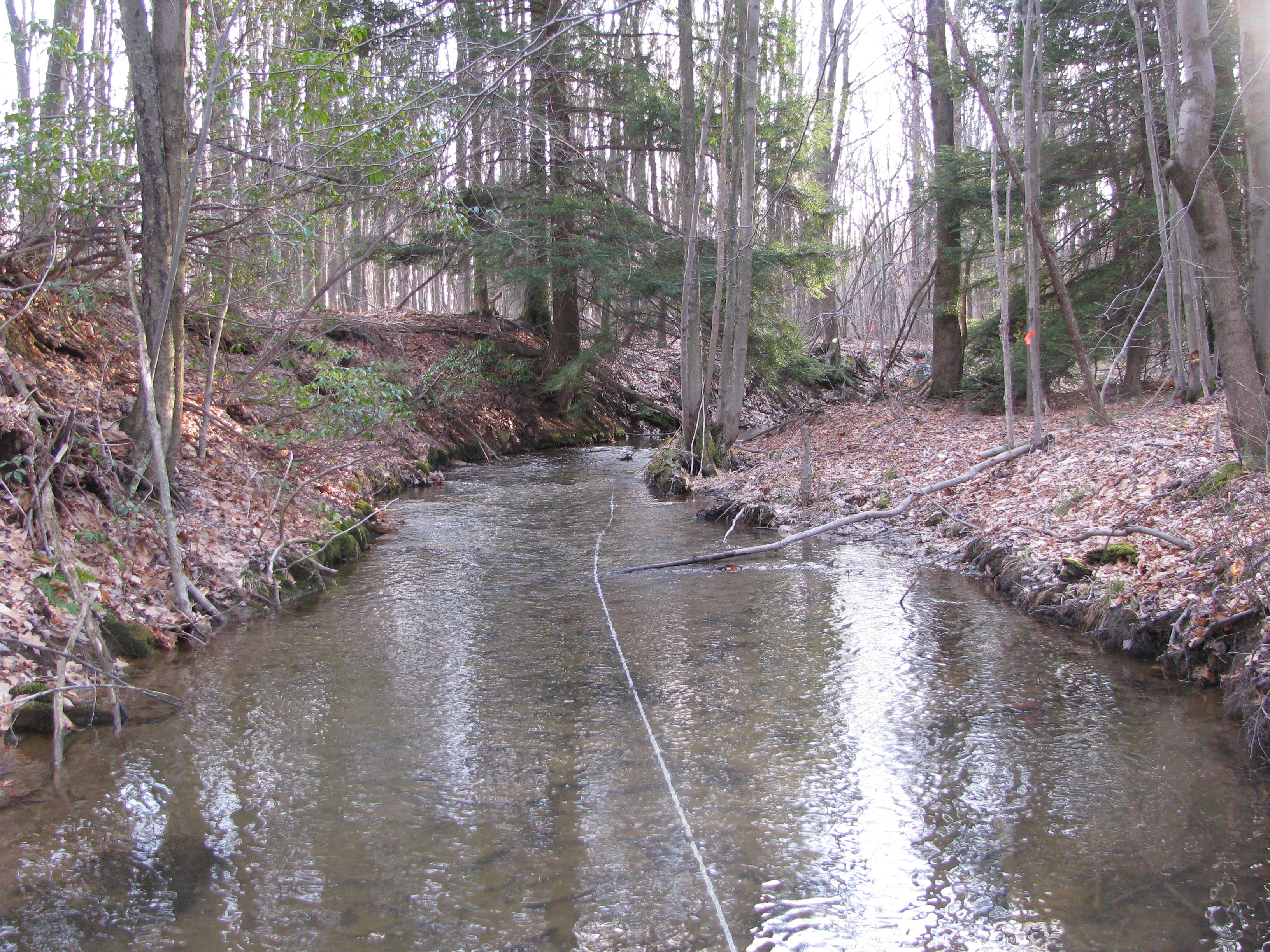 Field photo showing stream conditions at site CASS-105-D-2012-1