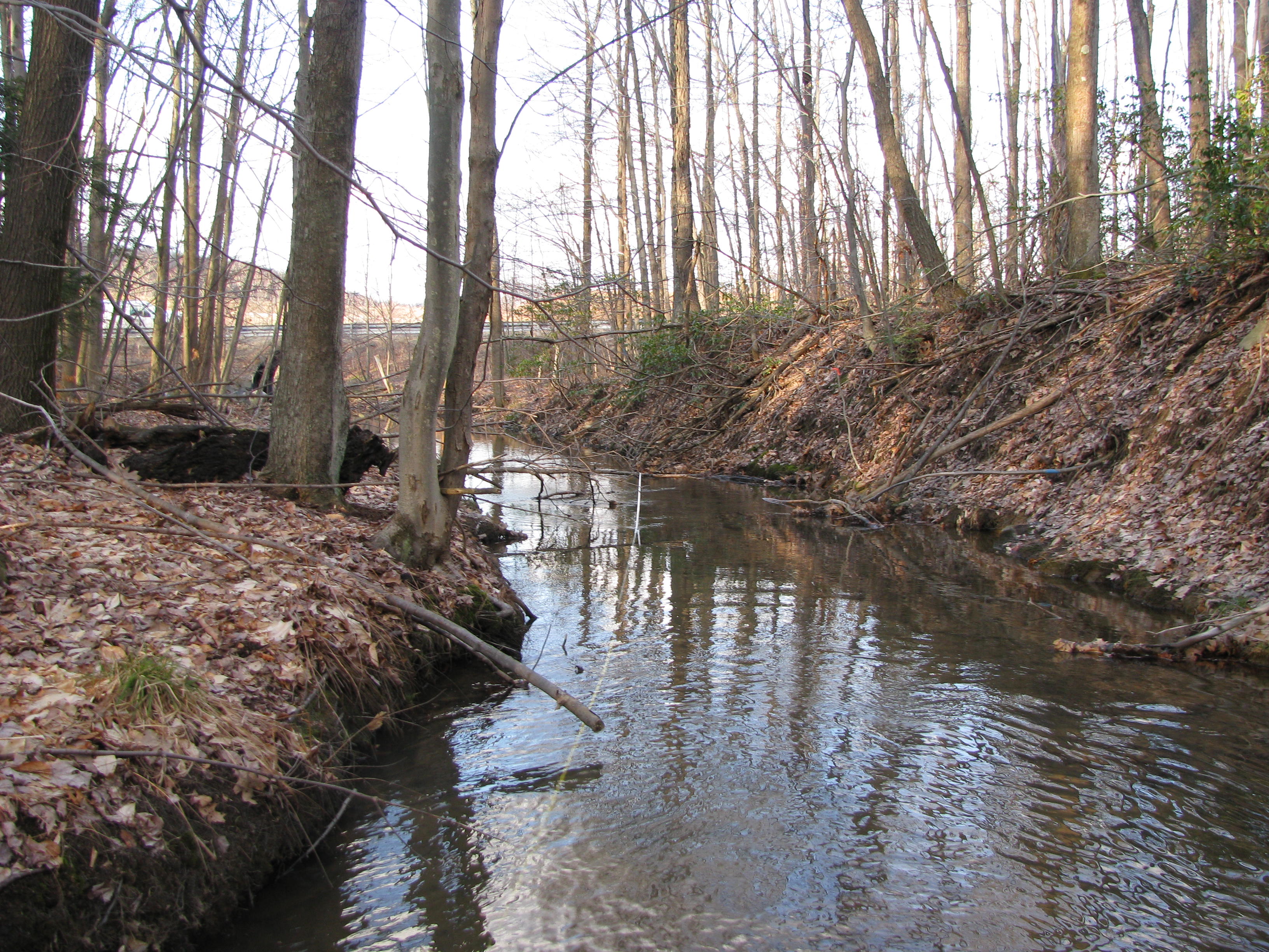 Field photo showing stream conditions at site CASS-105-D-2012-2