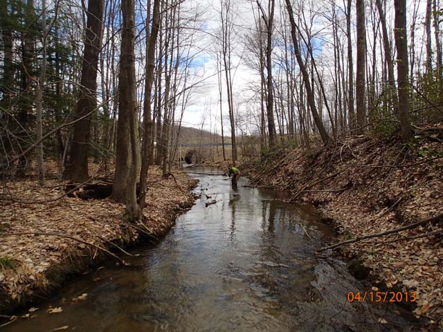 Field photo showing stream conditions at site CASS-105-D-2013-MidpointDownstream