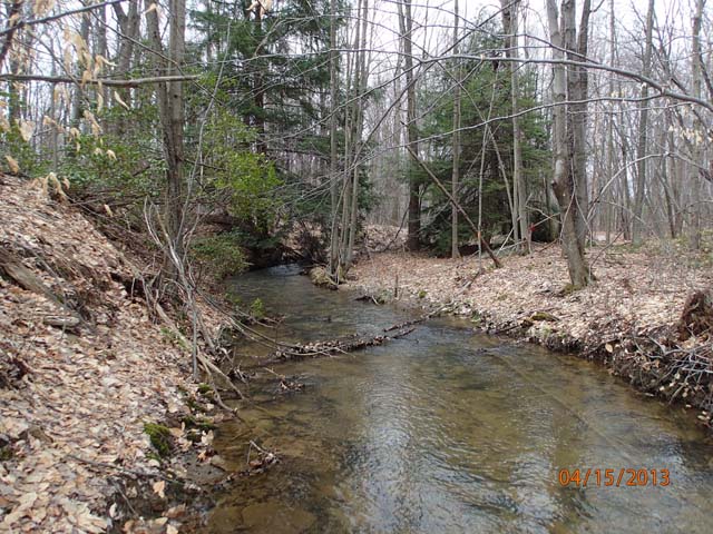 Field photo showing stream conditions at site CASS-105-D-2013-MidpointUpstream