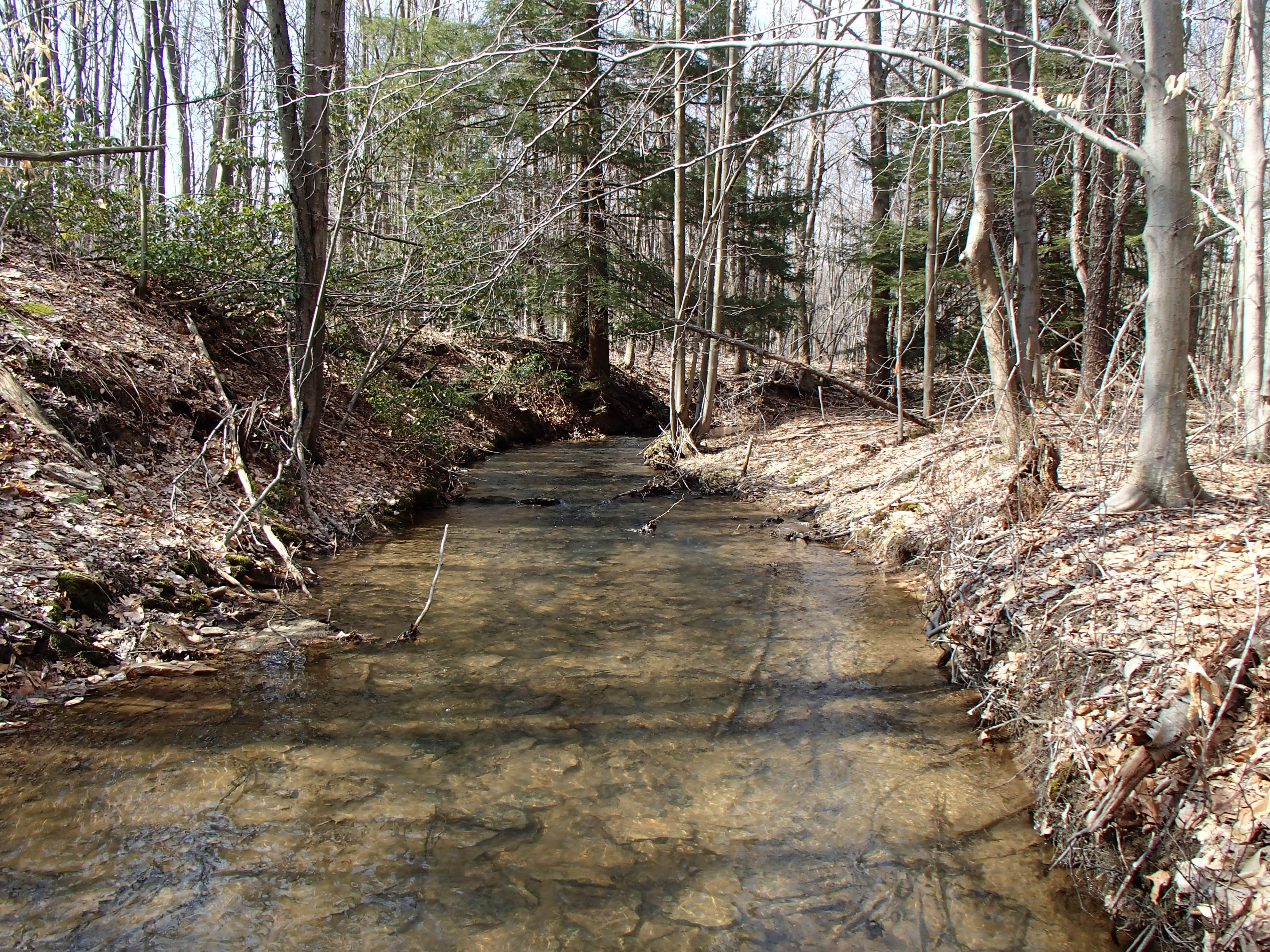 Field photo showing stream conditions at site CASS-105-D-2014-1