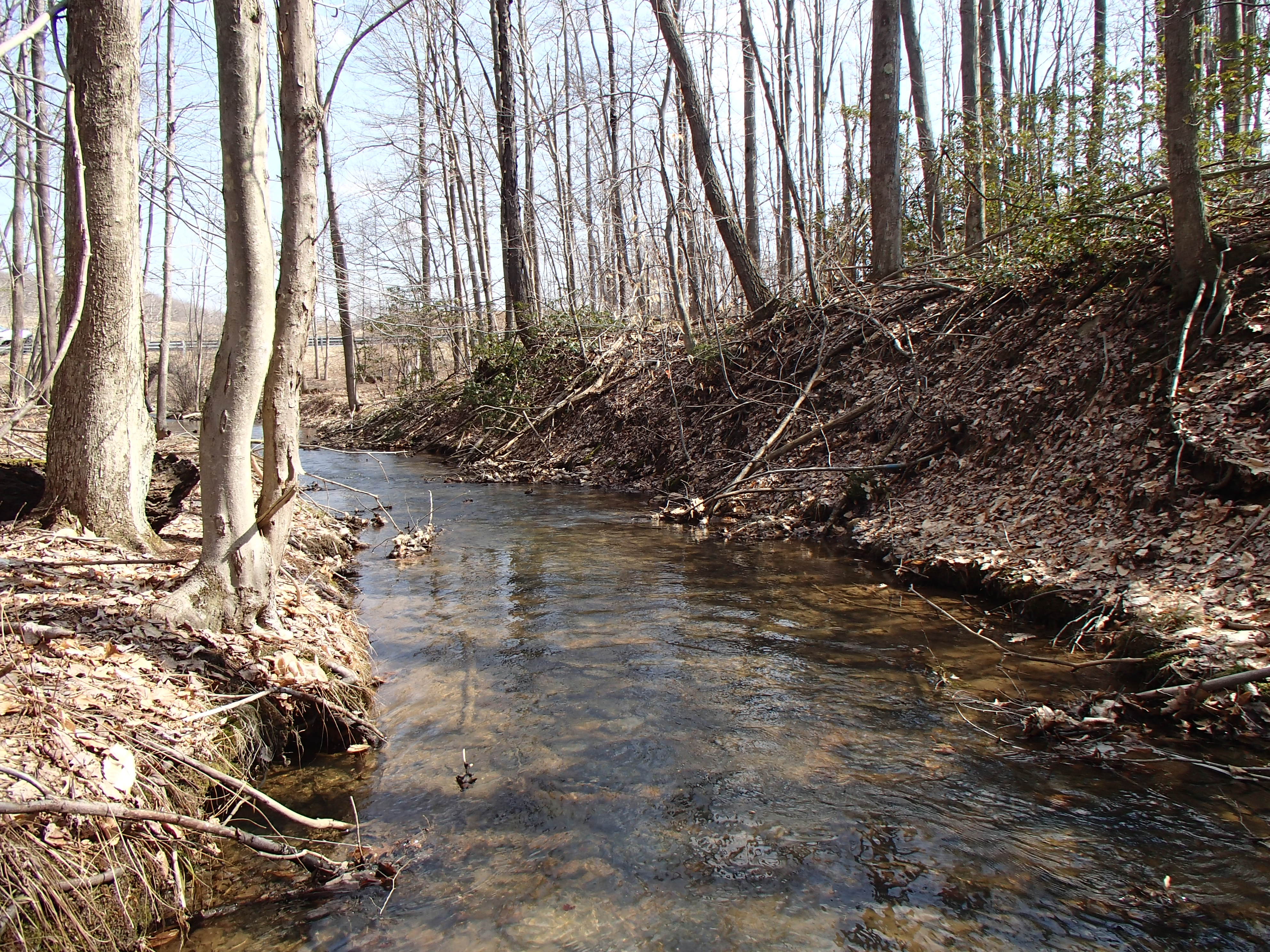 Field photo showing stream conditions at site CASS-105-D-2014-2