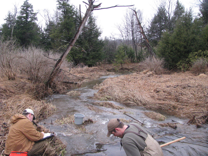 Field photo showing stream conditions at site CASS-105-X-2011-2
