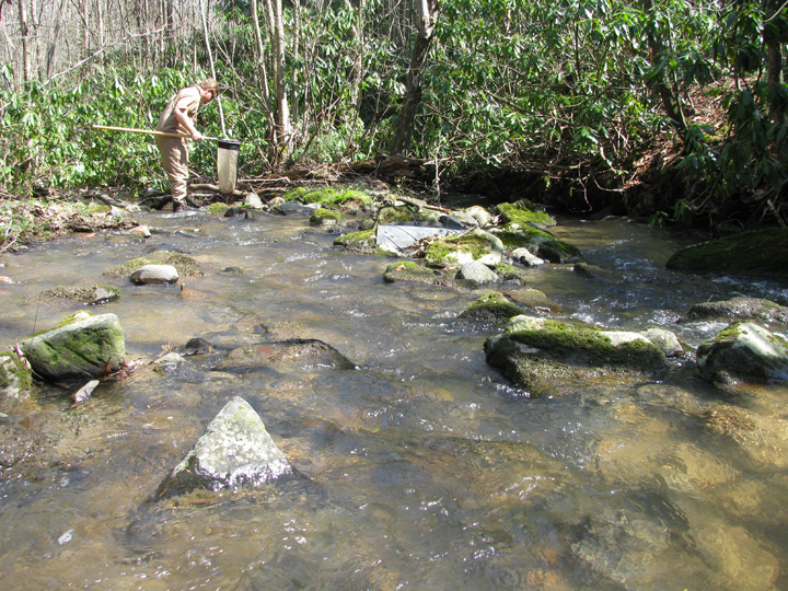 Field photo showing stream conditions at site CASS-106-H-2010-1