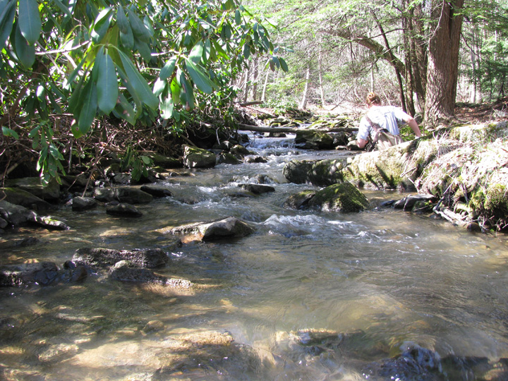 Field photo showing stream conditions at site CASS-106-H-2010-2