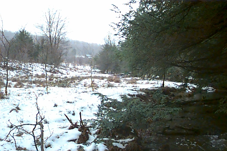 Field photo showing stream conditions at site CASS-106-R-2000-03