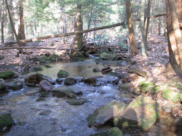 Field photo showing stream conditions at site CASS-108-H-2010-2