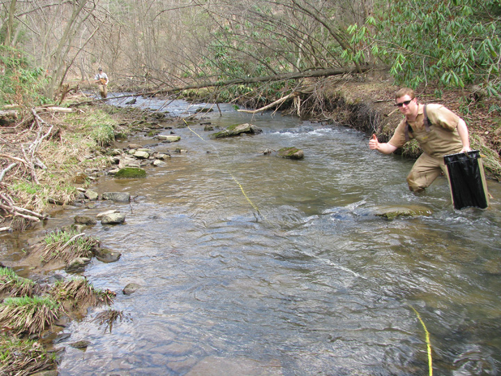 Field photo showing stream conditions at site CASS-109-H-2010-2