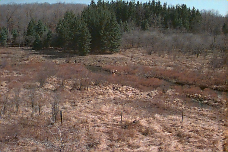 Field photo showing stream conditions at site CASS-109-R-2000-01