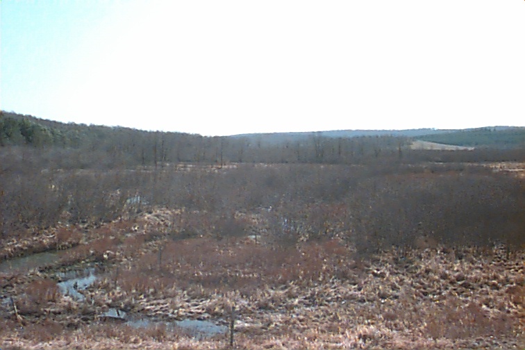 Field photo showing stream conditions at site CASS-109-R-2000-02