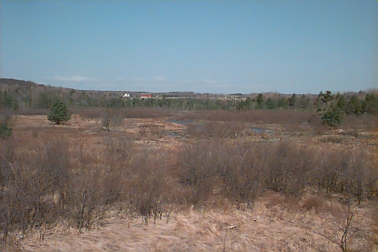 Field photo showing stream conditions at site CASS-109-R-2000-03