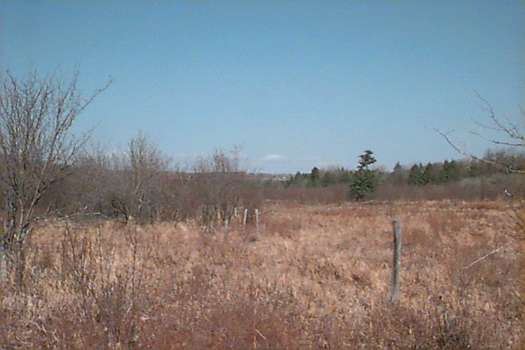 Field photo showing stream conditions at site CASS-109-R-2000-04