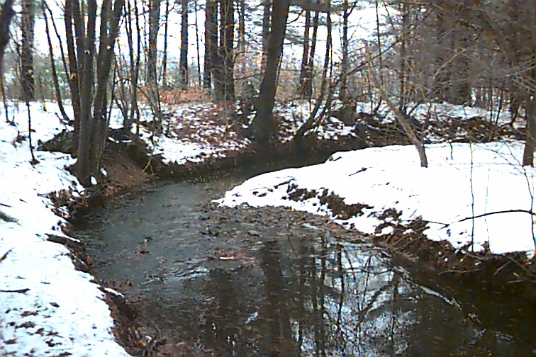 Field photo showing stream conditions at site CASS-110-R-2000-01