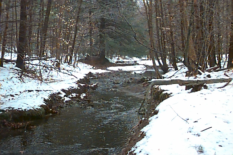 Field photo showing stream conditions at site CASS-110-R-2000-02