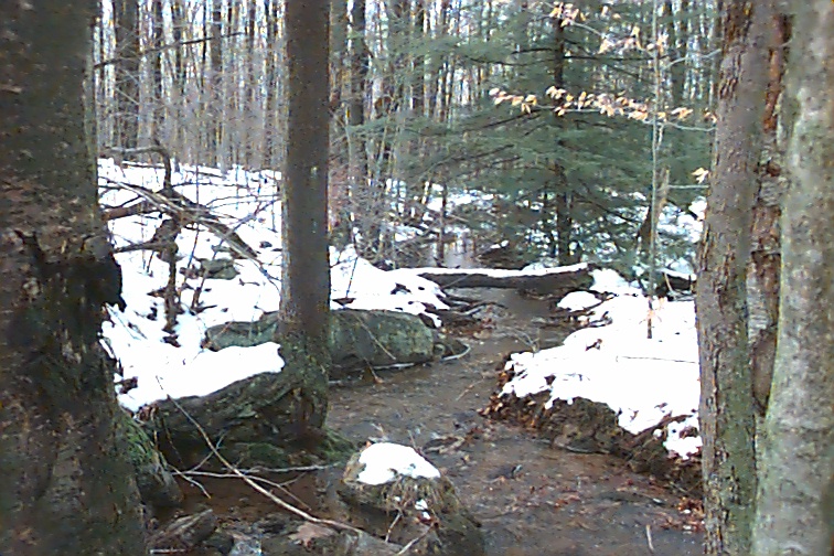 Field photo showing stream conditions at site CASS-111-R-2000-01