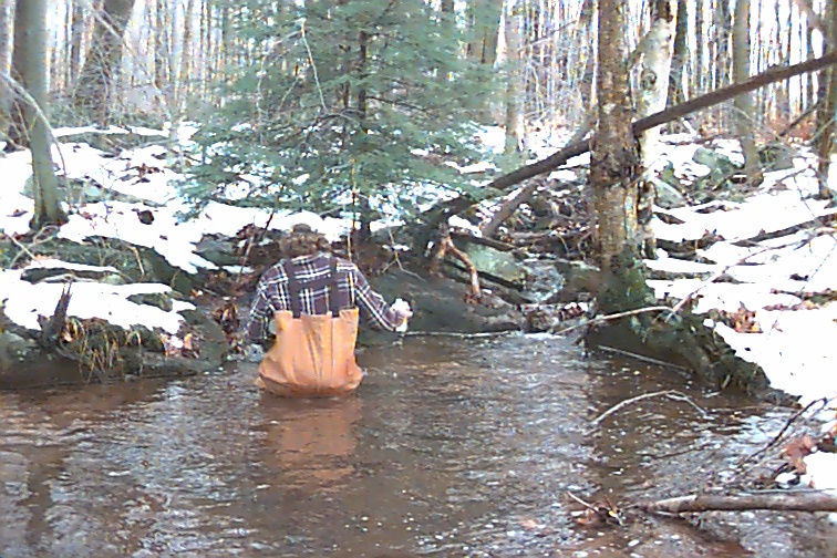 Field photo showing stream conditions at site CASS-111-R-2000-02