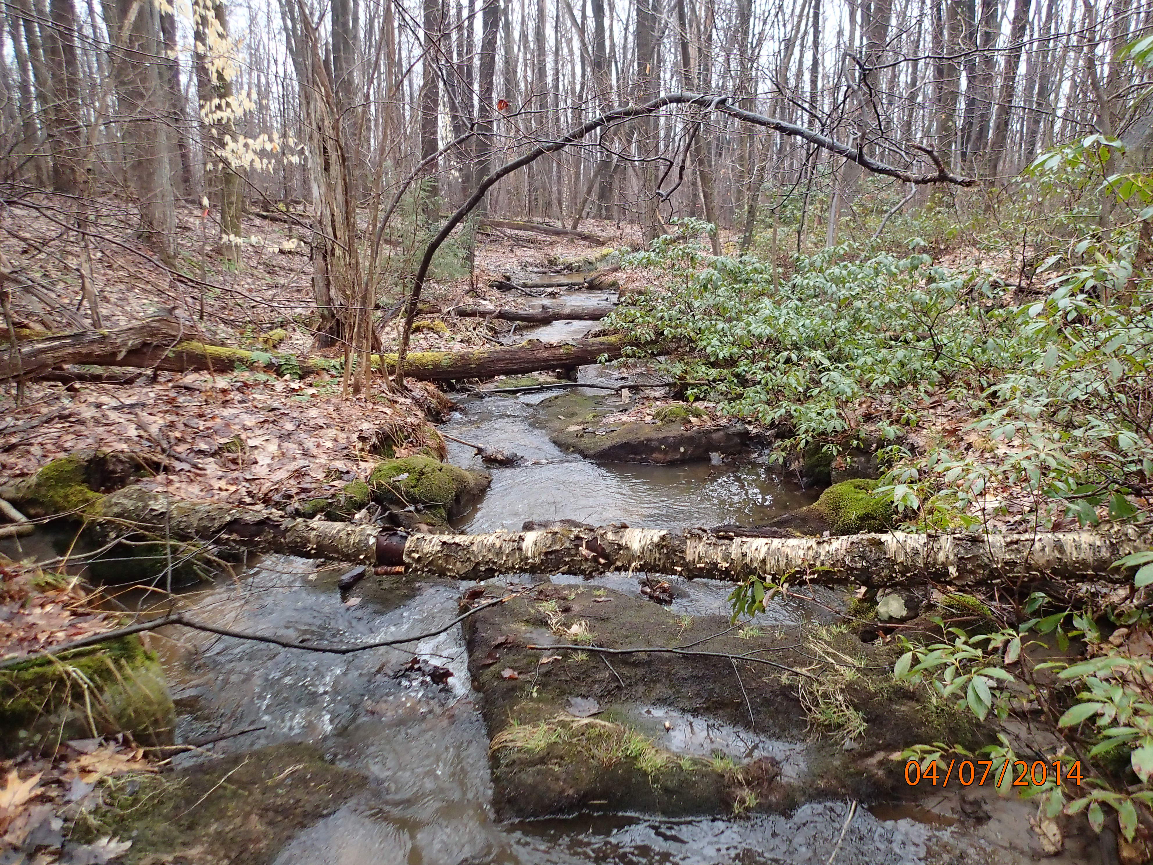 Field photo showing stream conditions at site CASS-111-R-2014-MidpointDownstream