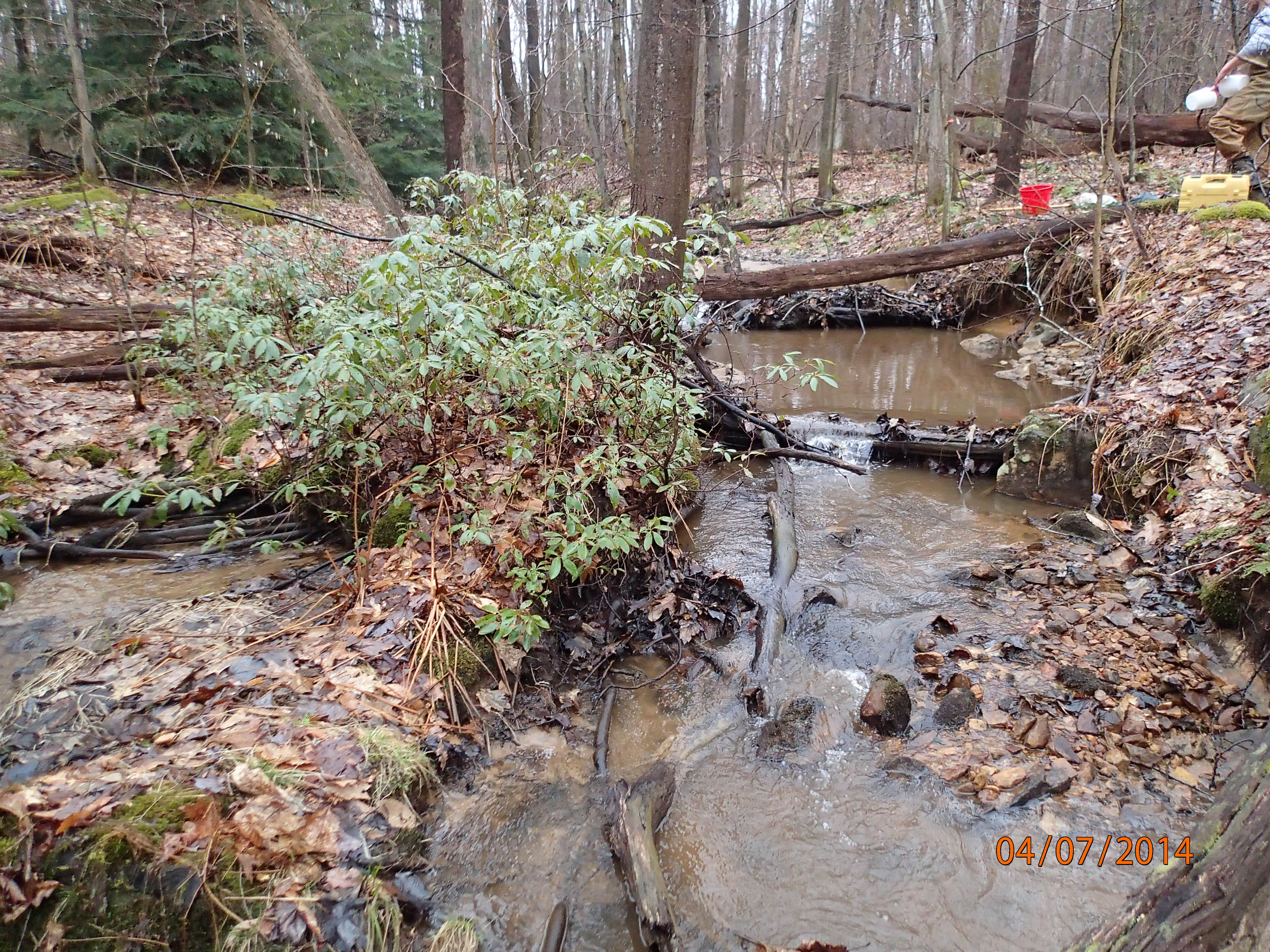 Field photo showing stream conditions at site CASS-111-R-2014-MidpointUpstream
