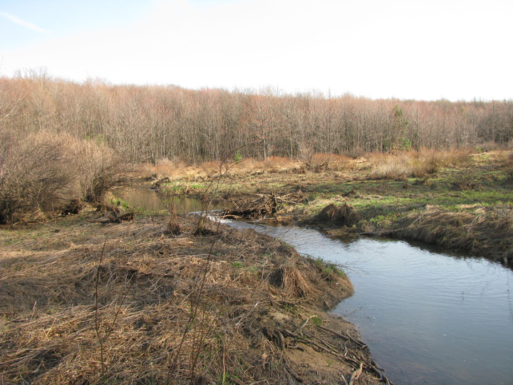 Field photo showing stream conditions at site CASS-112-H-2010-2