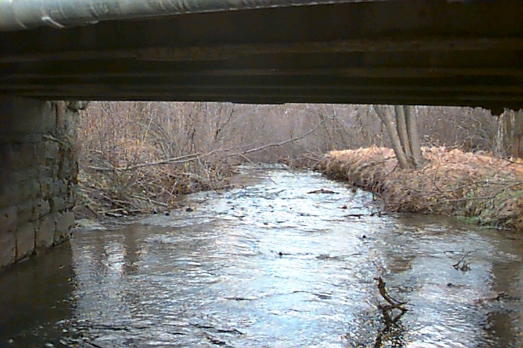 Field photo showing stream conditions at site CASS-113-R-2000-01