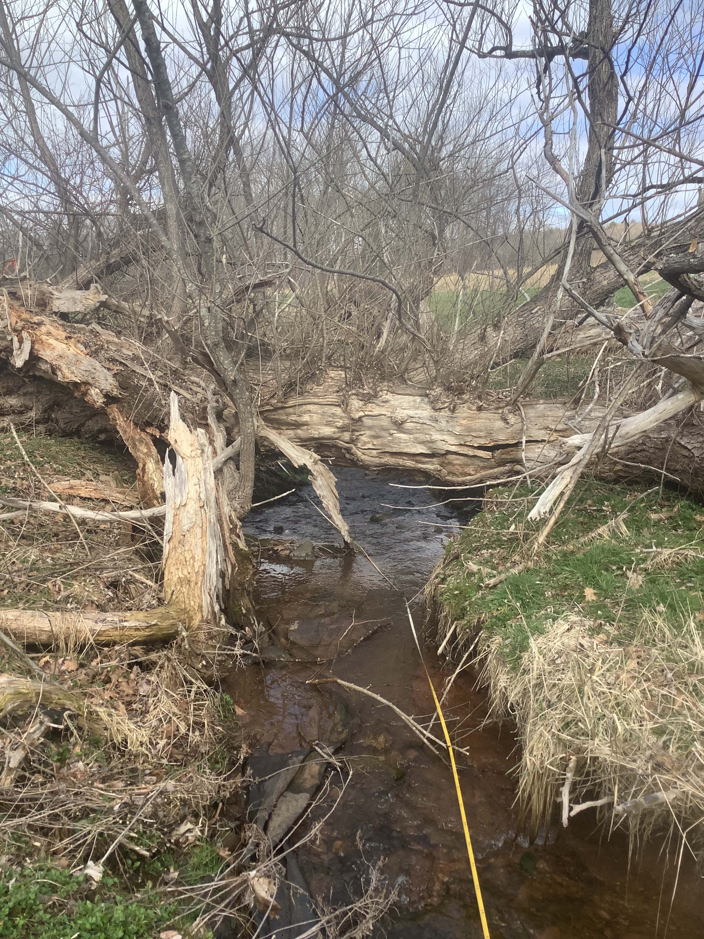 Field photo showing stream conditions at site CASS-120-R-2023_Midpoint_facing_downstream_