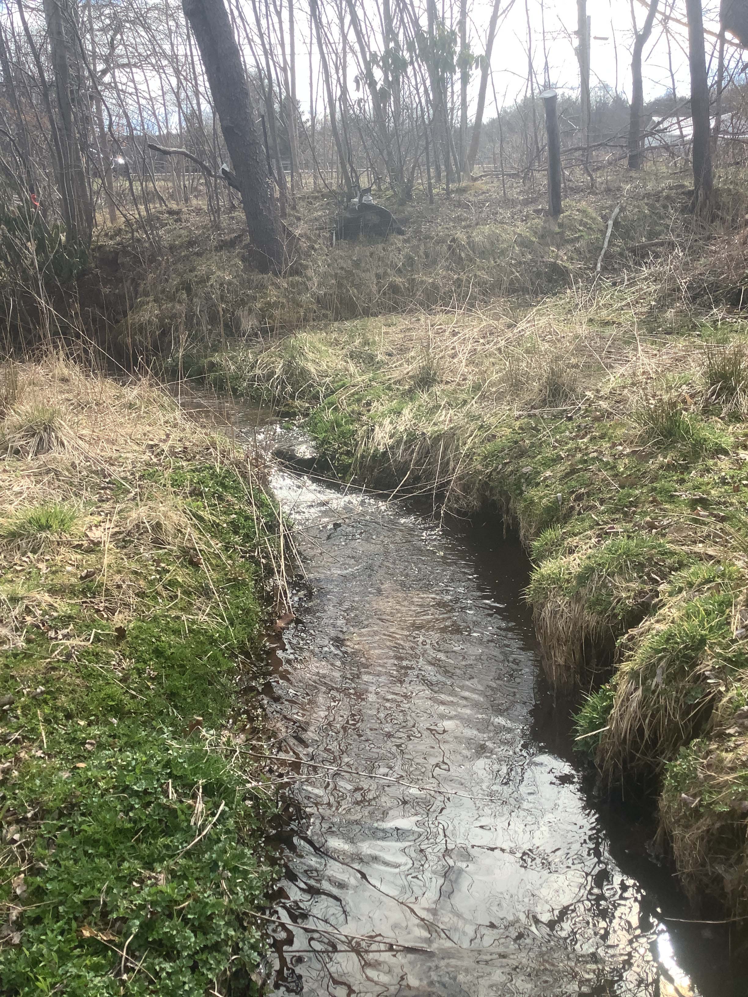 Field photo showing stream conditions at site CASS-120-R-2023_Midpoint_facing_upstream_