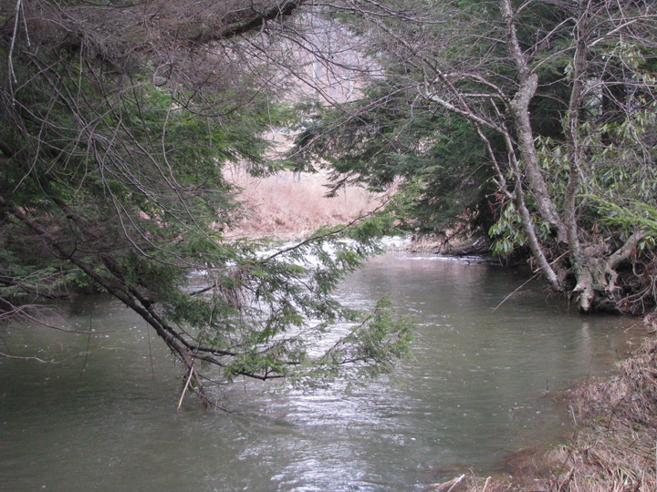 Field photo showing stream conditions at site CASS-201-X-2011-1