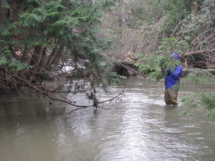 Field photo showing stream conditions at site CASS-201-X-2011-2