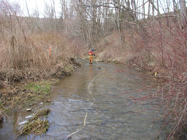 Field photo showing stream conditions at site CASS-202-R-2008-1
