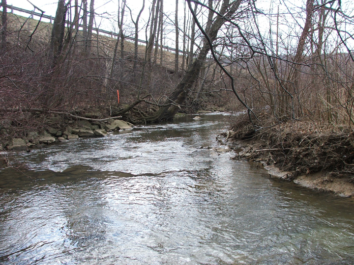 Field photo showing stream conditions at site CASS-202-R-2008-2