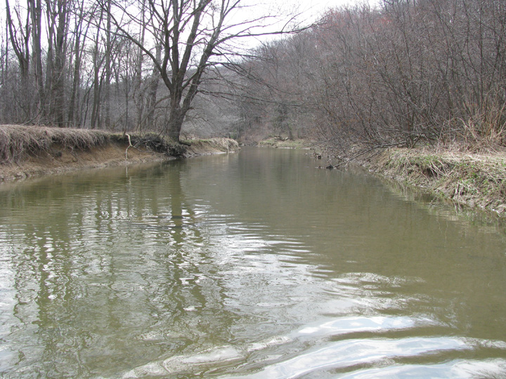 Field photo showing stream conditions at site CASS-299-H-2010-2