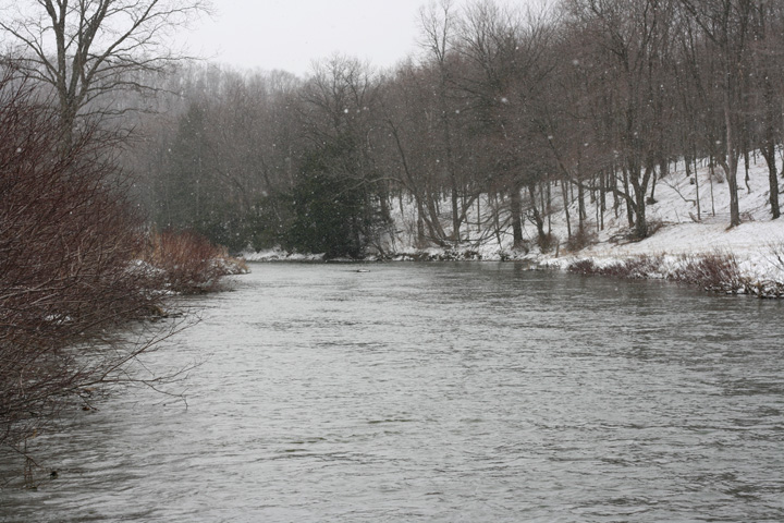 Field photo showing stream conditions at site CASS-301-A-2009-1