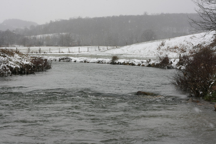 Field photo showing stream conditions at site CASS-301-A-2009-2