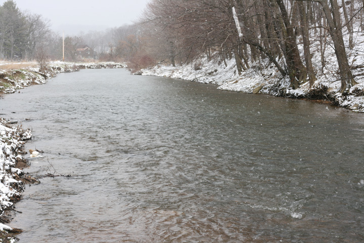 Field photo showing stream conditions at site CASS-302-A-2009-1