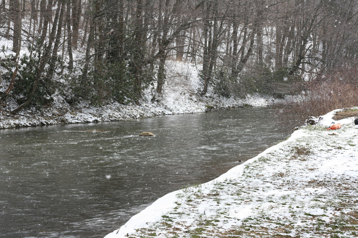 Field photo showing stream conditions at site CASS-302-A-2009-2